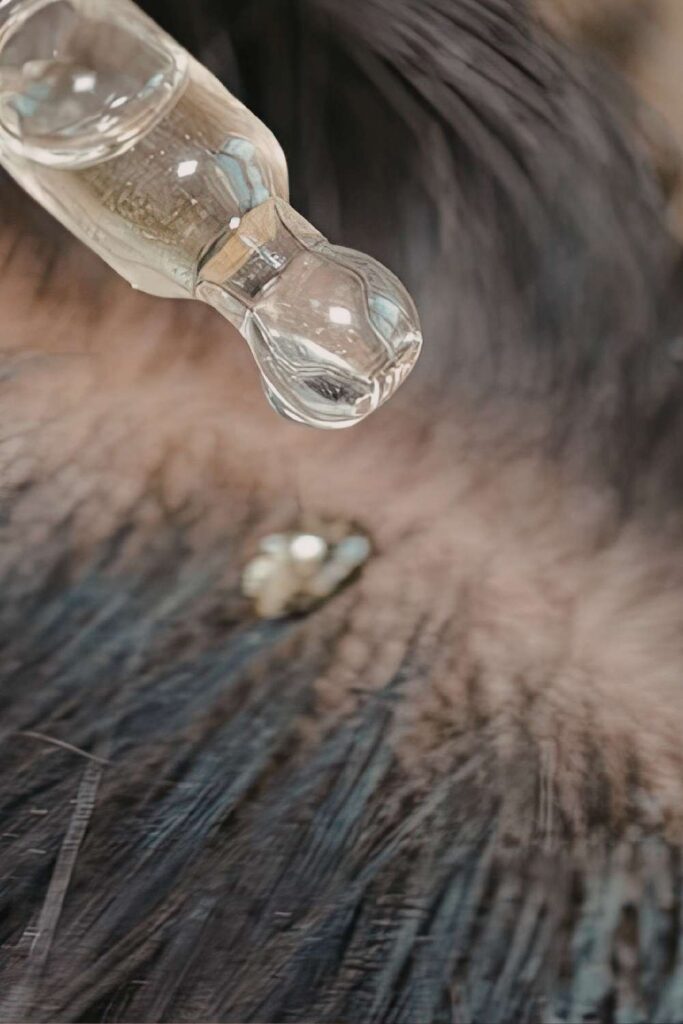 A lady moisturizing her hair scalp
